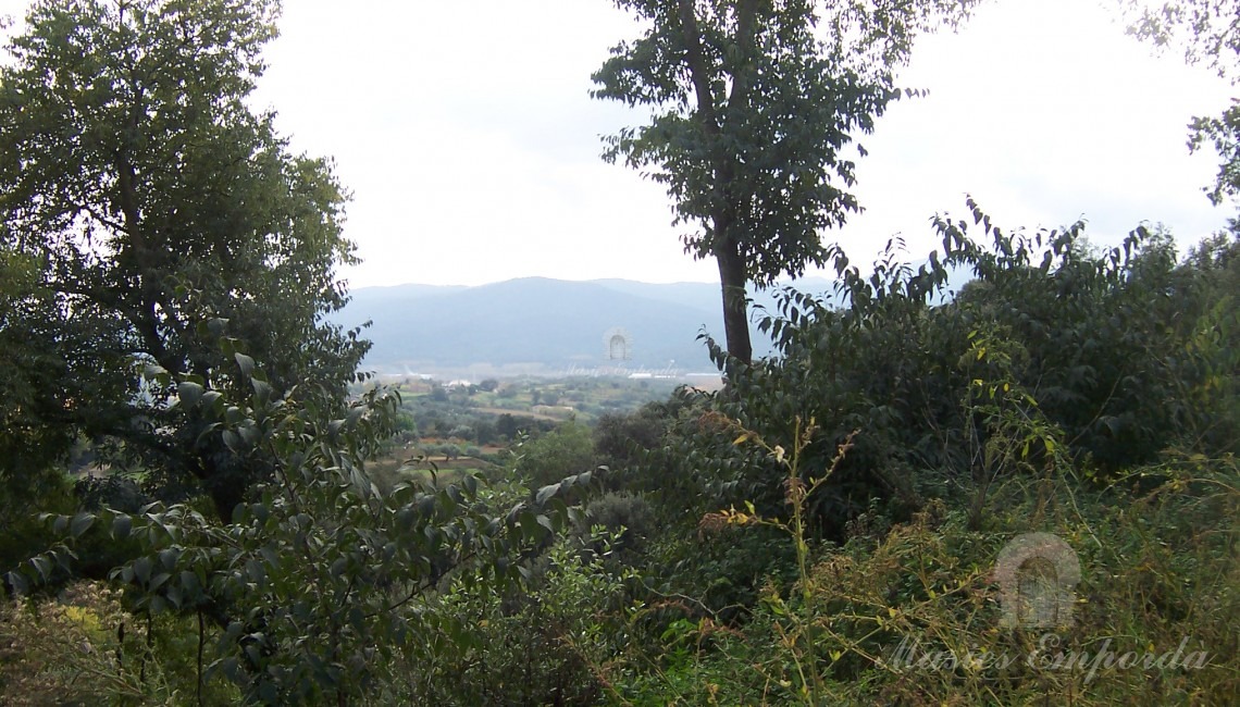 Vista de los campos 