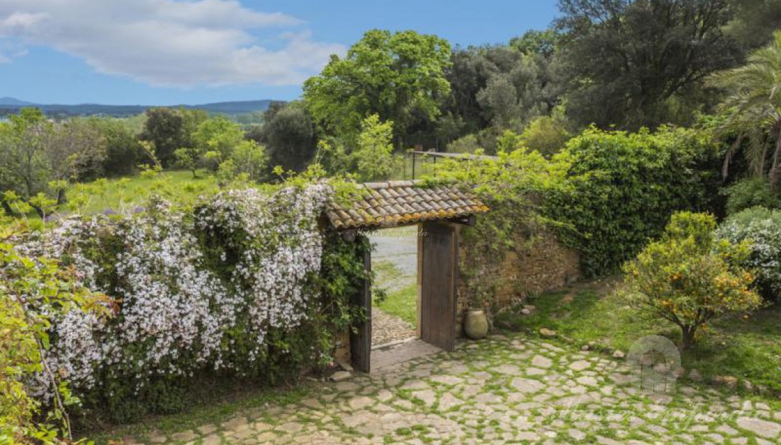 Puerta de entrada a la masía con un jazmín espectacular que cubre todo el muro de protección al patio empedrado del interior de la casa  