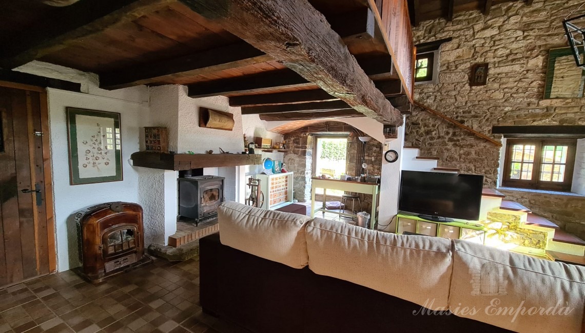 Saló d'estar amb xemeneia