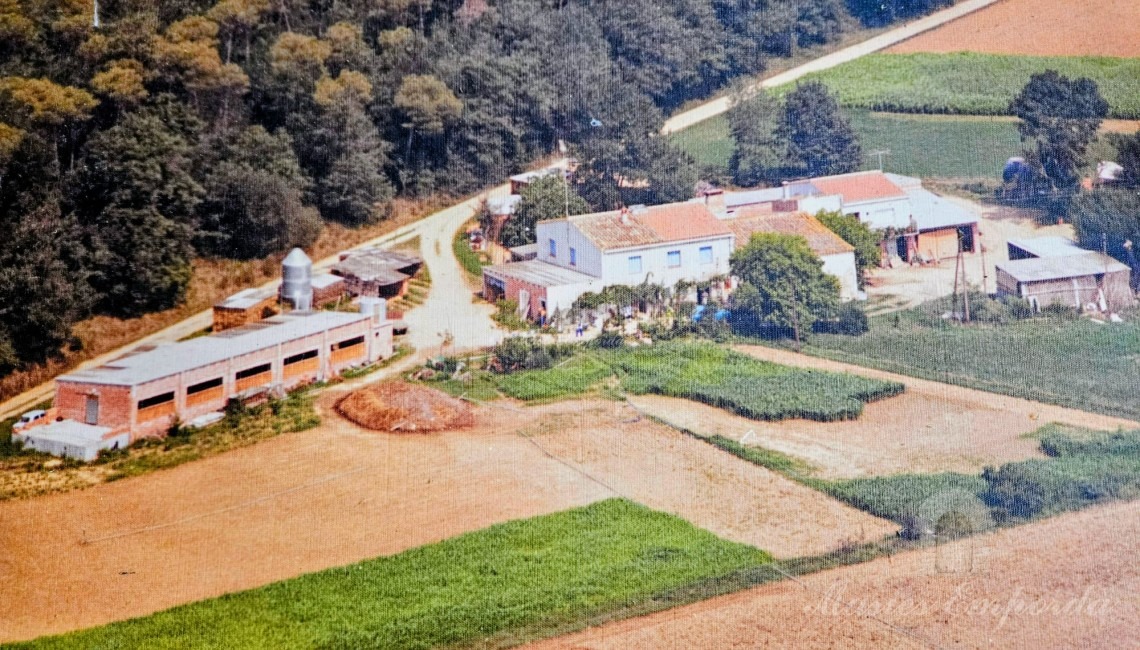 Vista de la propietat