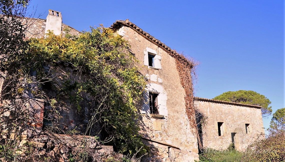 Detall de la façana de la masia