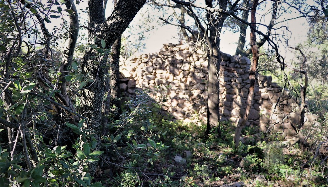 Detalls de les parets d'un dels annexos a la masia