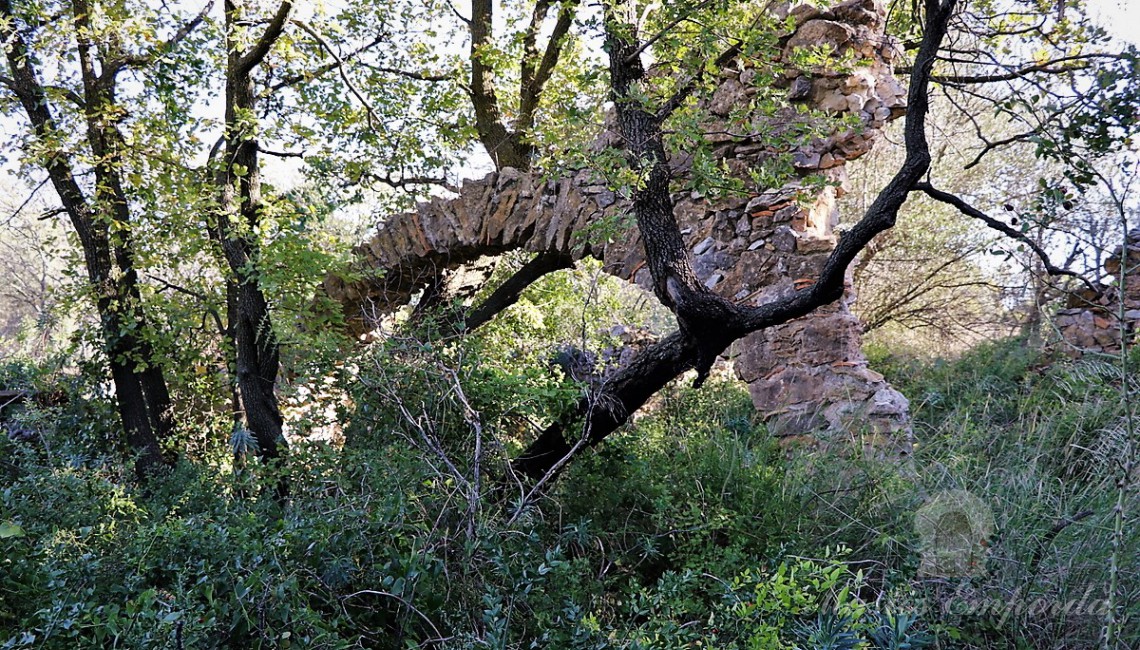 Detalls de les parets d'un dels annexos a la masia