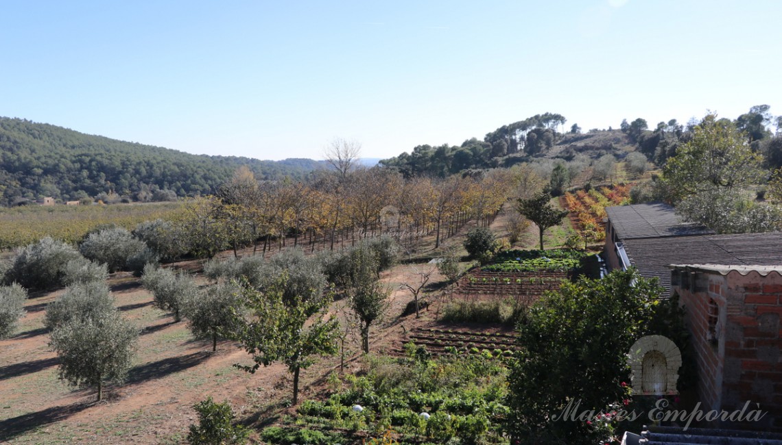 Vista de los campos de olivos y campos desde la terraza de la segunda planta