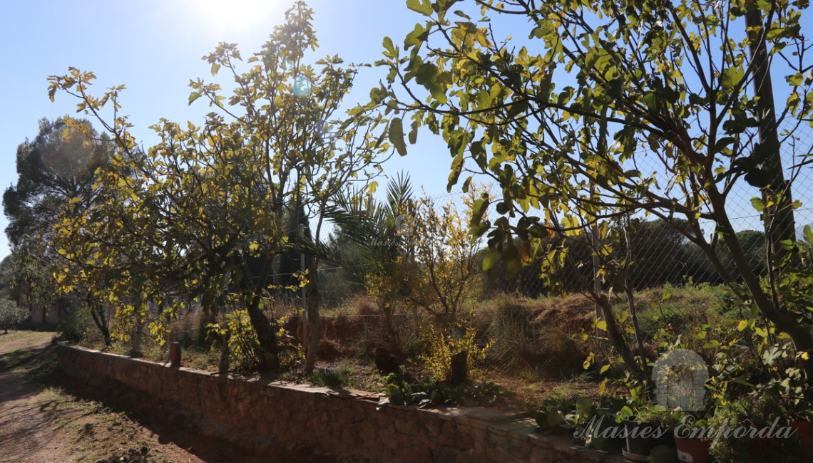 Entrada a la finca 