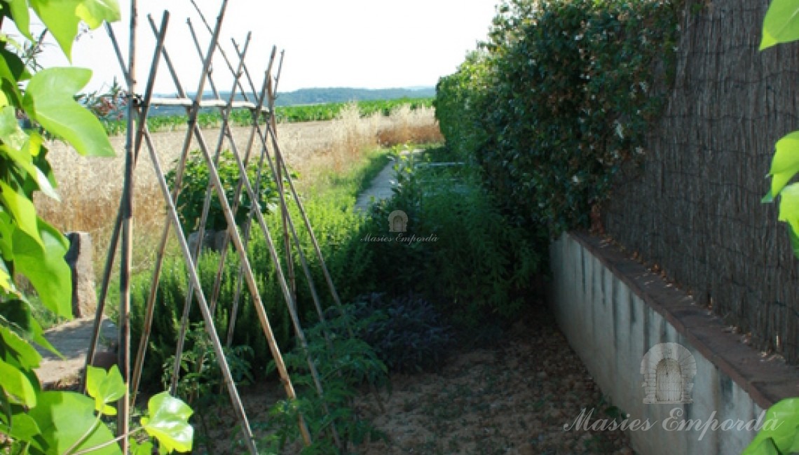 Huerta de la propiedad Huerta de la propiedad