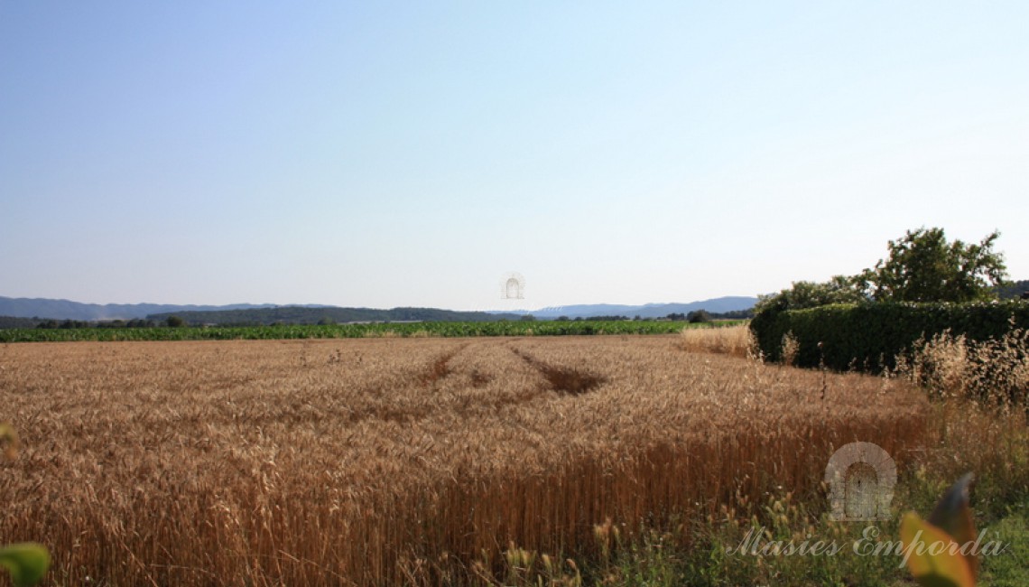 Vista de los campos que rodean a la propiedad Vista de los campos que rodean a la propiedad
