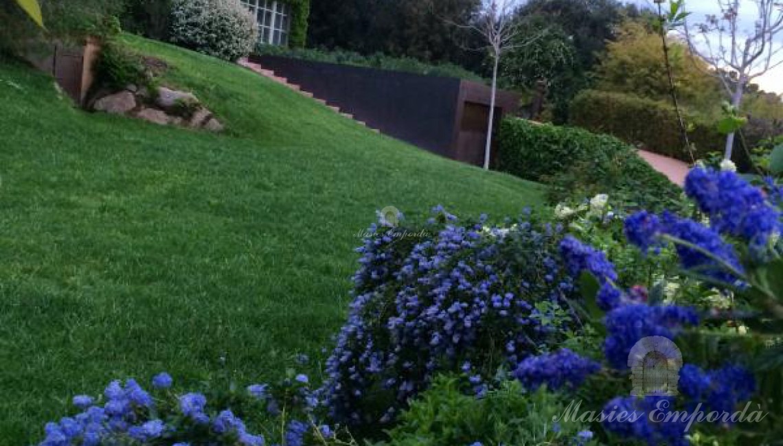 Imagen del jardín y la casa al fondo de la imagen 