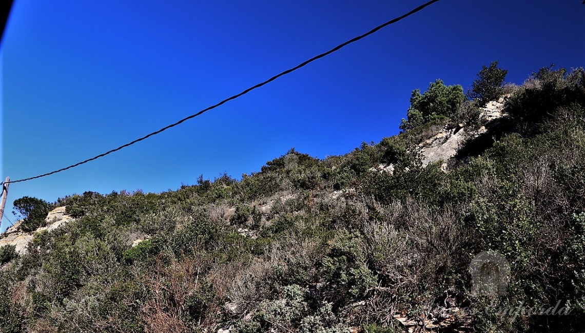 Vista de les parcel·les des de la carretera d'accés
