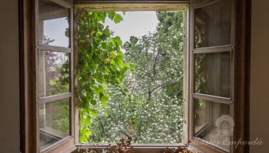 Detalle de un ventanal que da al jardín de la casa 