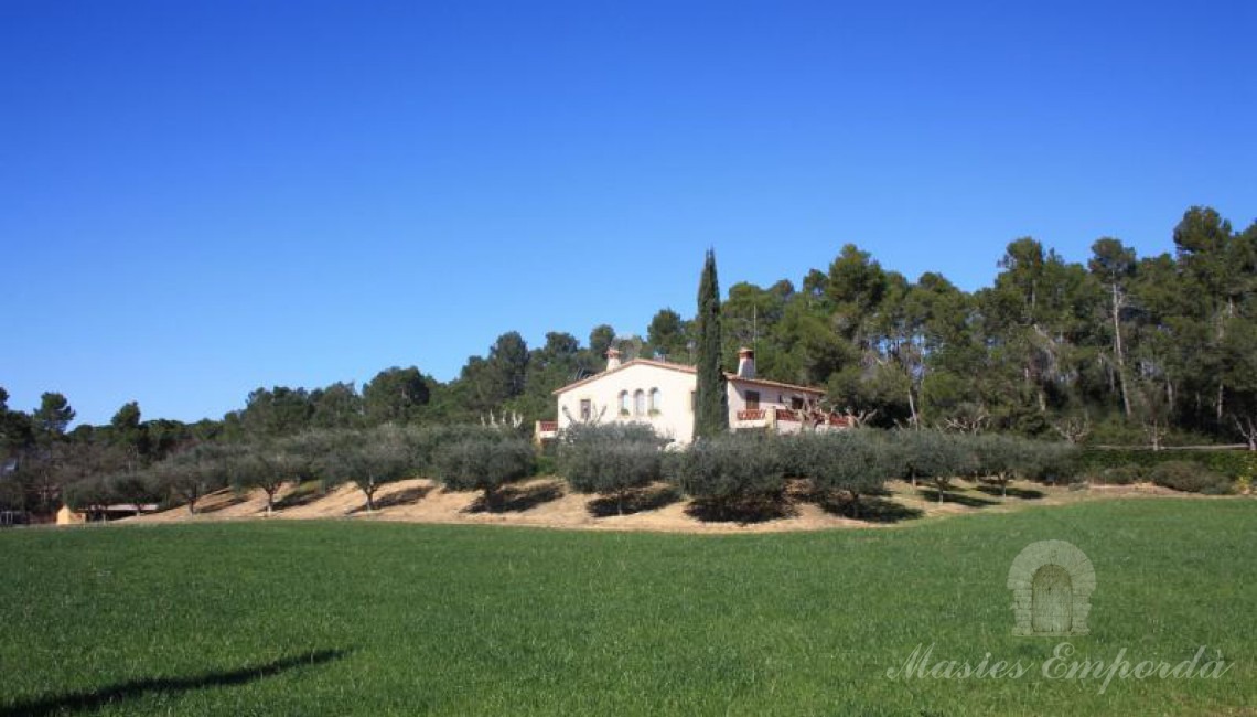 Vista de la masía en venta desde el acceso a ella donde se ve la casa rodeada de olivos y un majestuoso ciprés como atalaya de señalización en Forallach