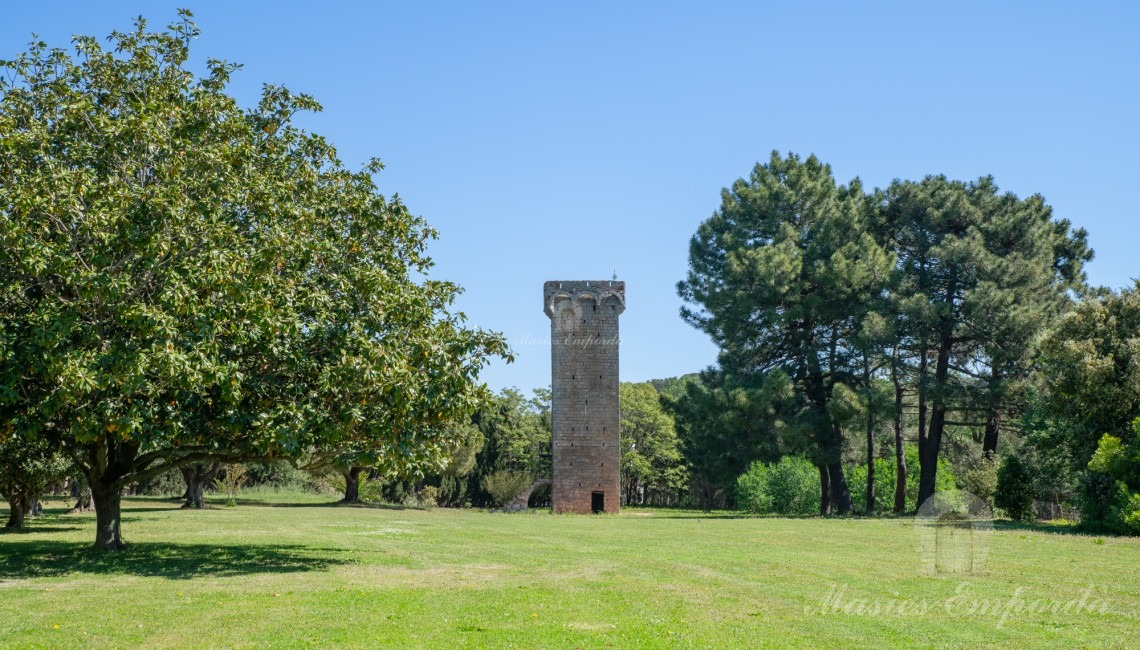 Vista de la torre medieval de la propietat