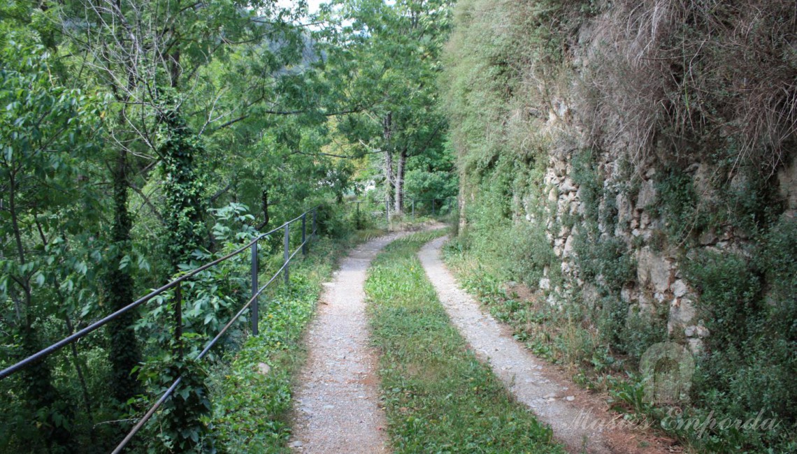 Camino de la propiedad a los bosques y campos