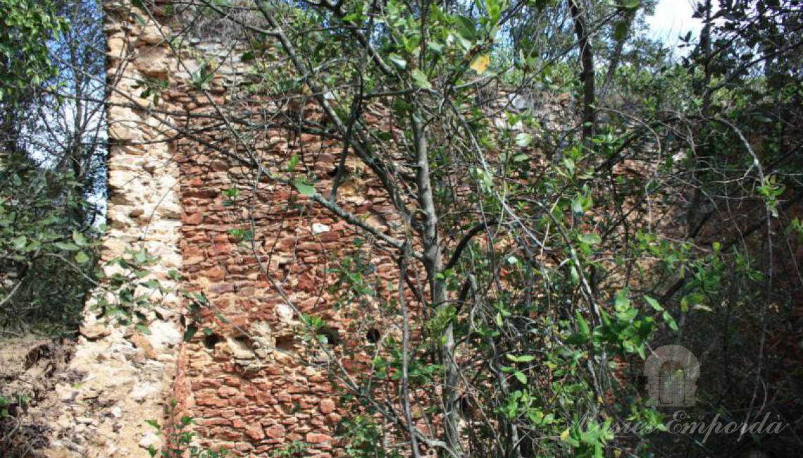 Detall de la segona masia de la propietat