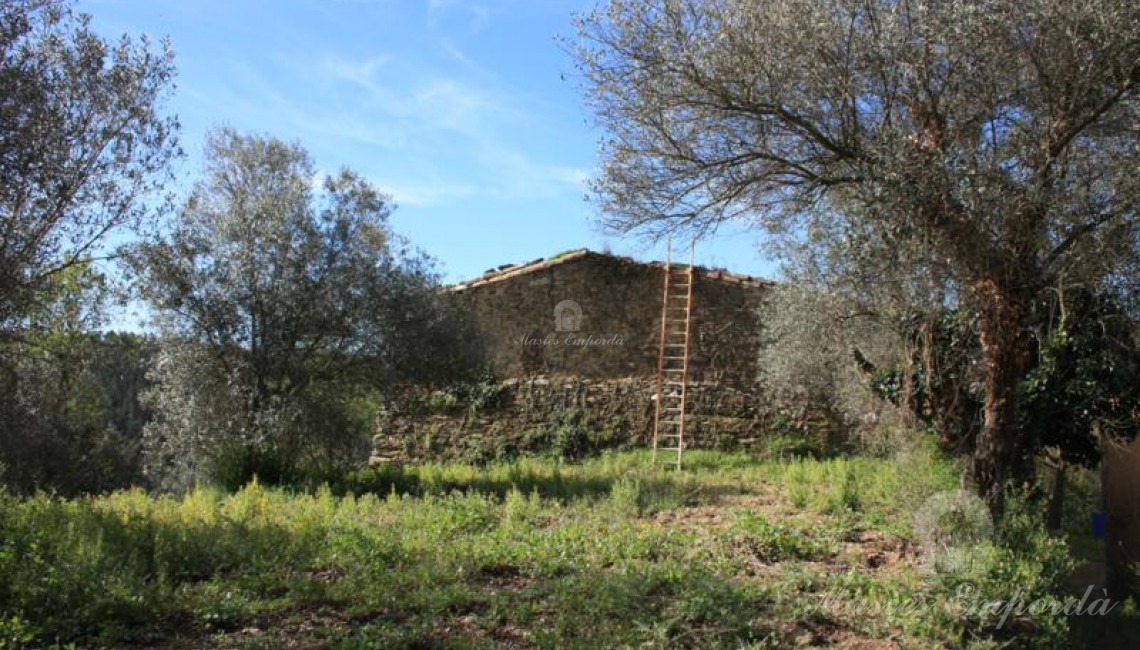 Part posterior de la masia