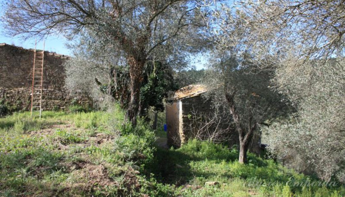 Part posterior de la masia