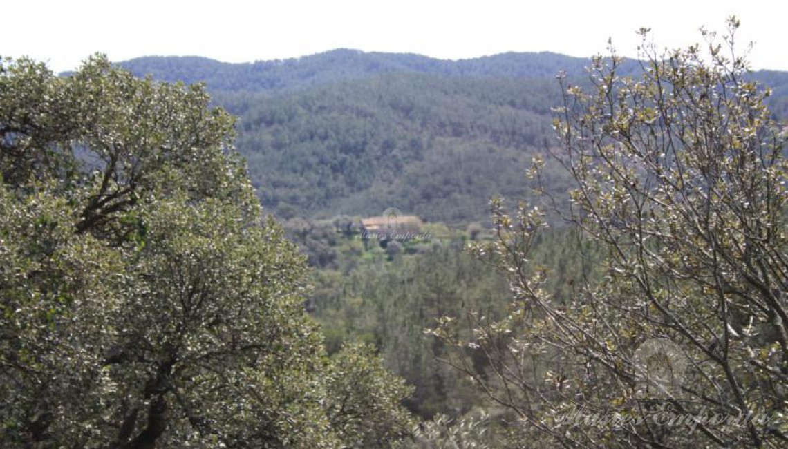 Vista de la masia gran desde la masia petita