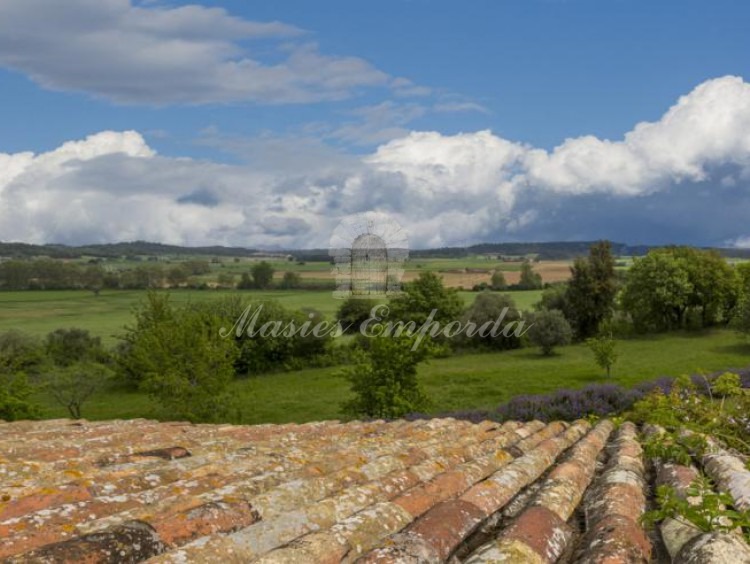 Desde la terraza posterior de la casa vistas a los campos de la propiedad 