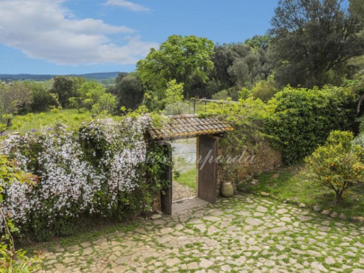 Puerta de entrada a la masía con un jazmín espectacular que cubre todo el muro de protección al patio empedrado del interior de la casa  