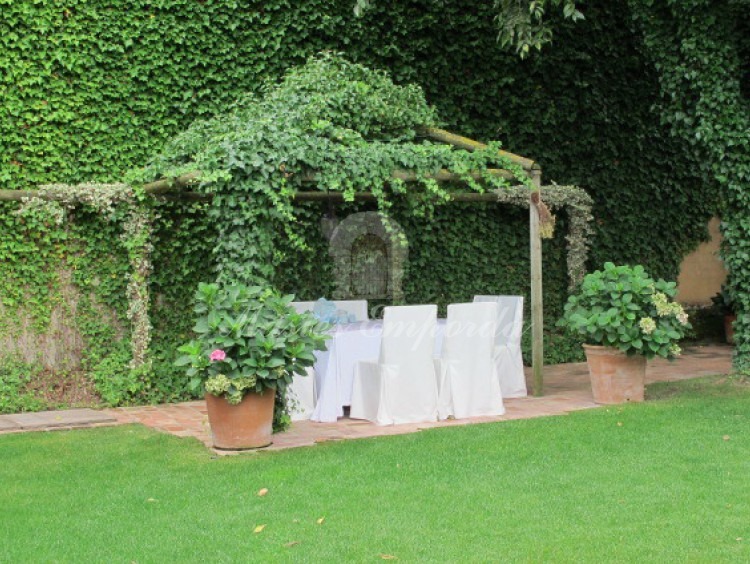 Glorieta del jardín cubierta por yedra trepadora de un verde intenso que contrasta con el suave verde del césped 