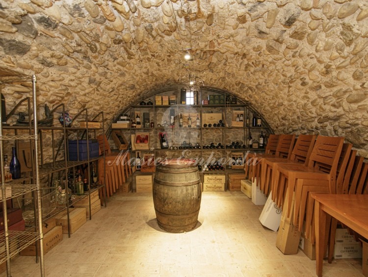 Celler amb una espectacular volta de pedra