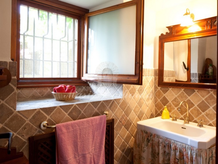 Baño de cortesía de planta 
