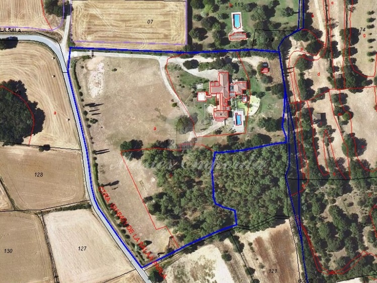 Vista de la parcel·la