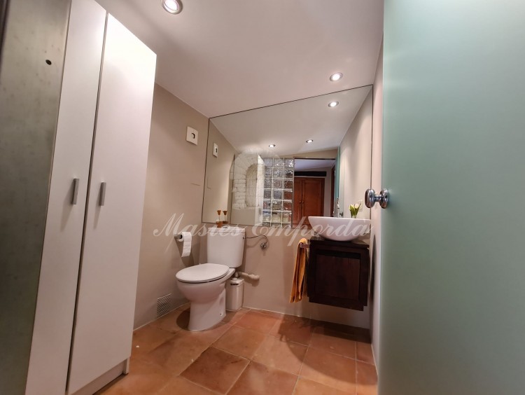 Lavabo de cortesia de la planta