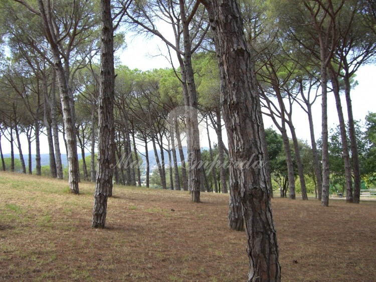 Vistes de jardí que envolta la masia