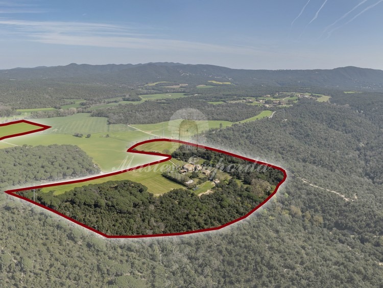 Vistes zenital de la propietat