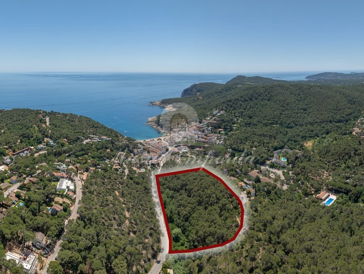 Vistes de la parcel·la