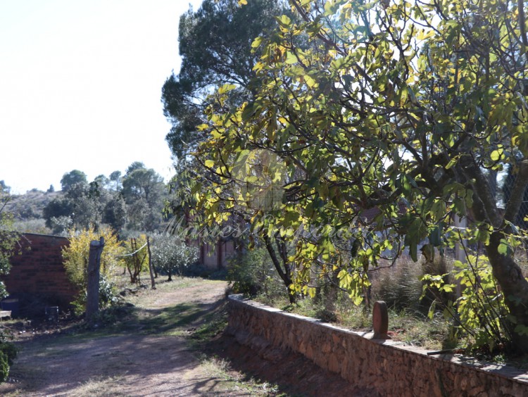 Vista de las naves de la finca