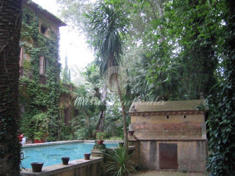 Vista desde el jardín la piscina y la fachada de la casa 