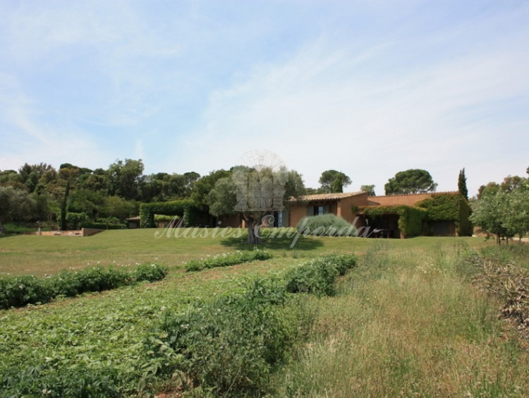 Vista de los campos y el jardín con la casa al fondo de la imagen