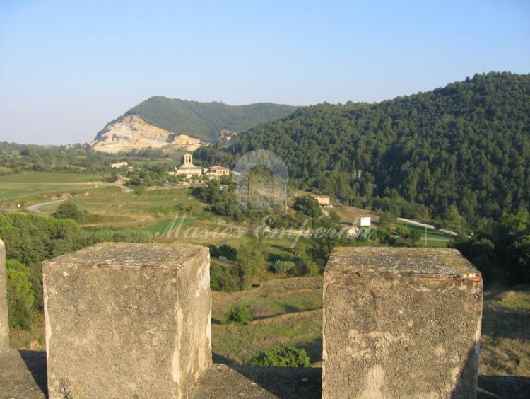 Vistas de los campos y bosques de la propiedad desde la torre del castillo 