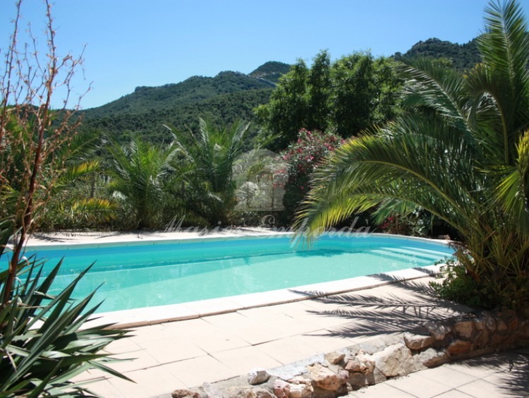 Detalle de la piscina 