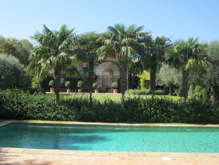 Imagen de la fantástica piscina de la propiedad con las palmeras en segundo término dando privacidad a esta zona del jardín 