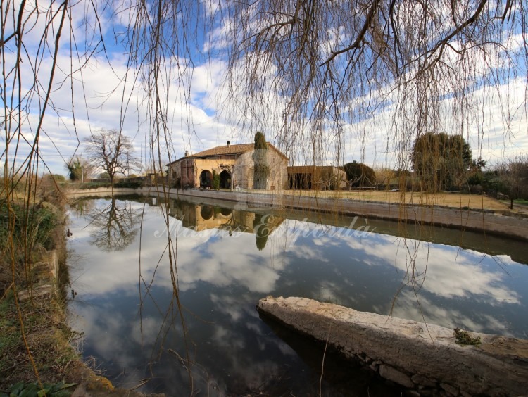 Vistes de la masia, la parcel·la i la bassa.