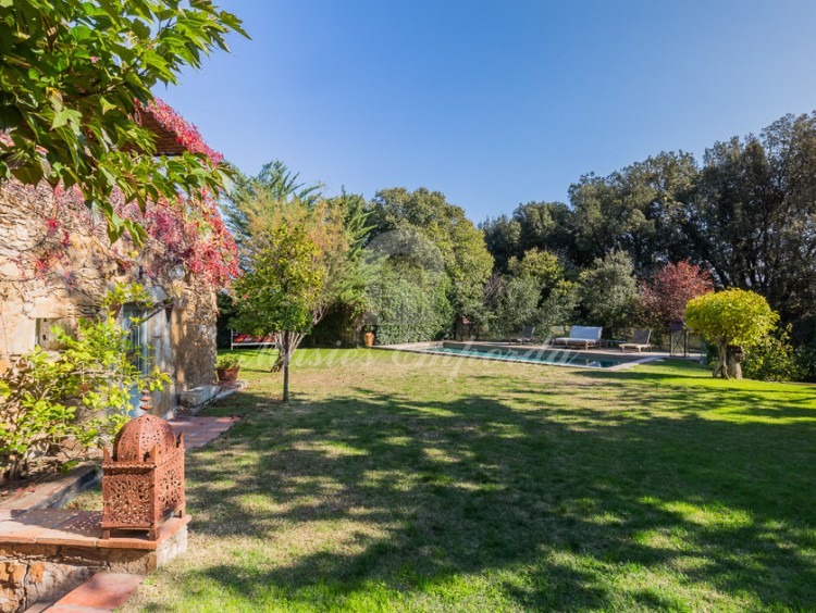 Vista del jardí i la piscina al fons de la imatge
