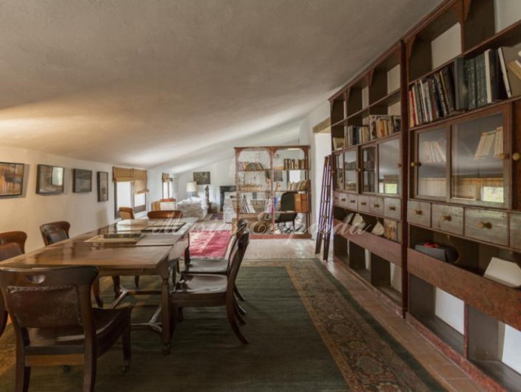 Gran y magnifica biblioteca en la buhardilla de la casa 
