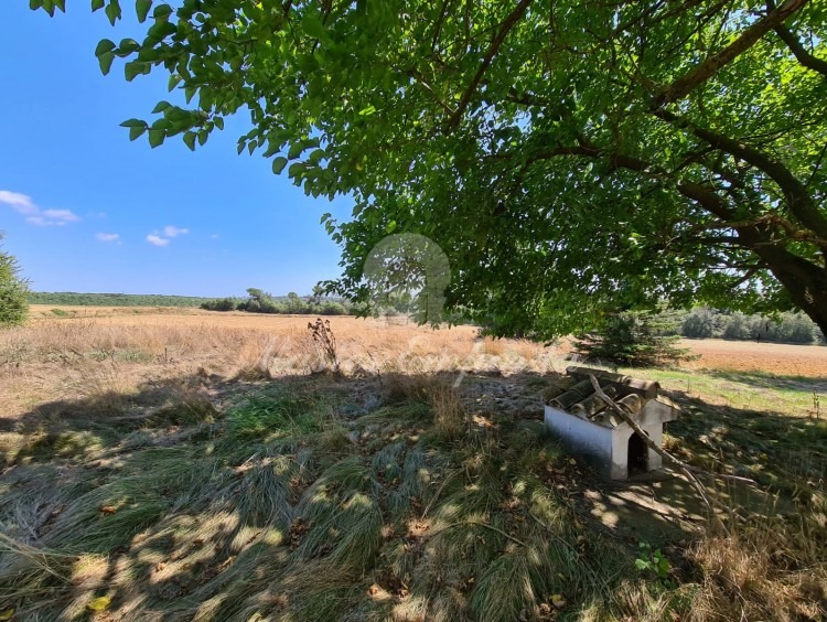 Vistas de los campos de la propiedad