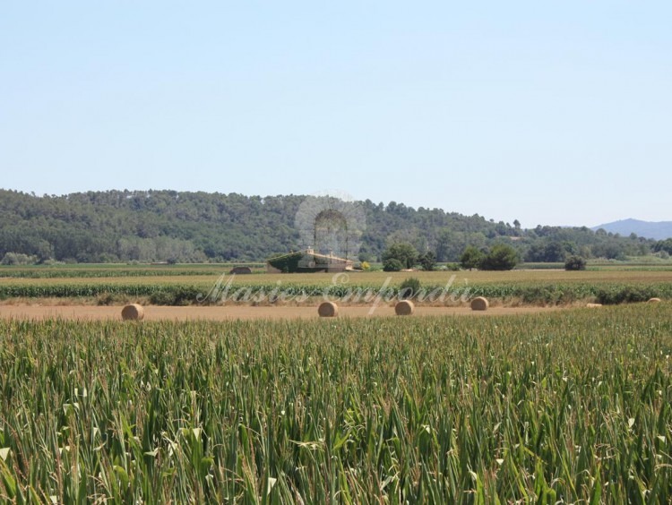 Vista de los campos que rodean la propiedad Vista de los campos que rodean la propiedad