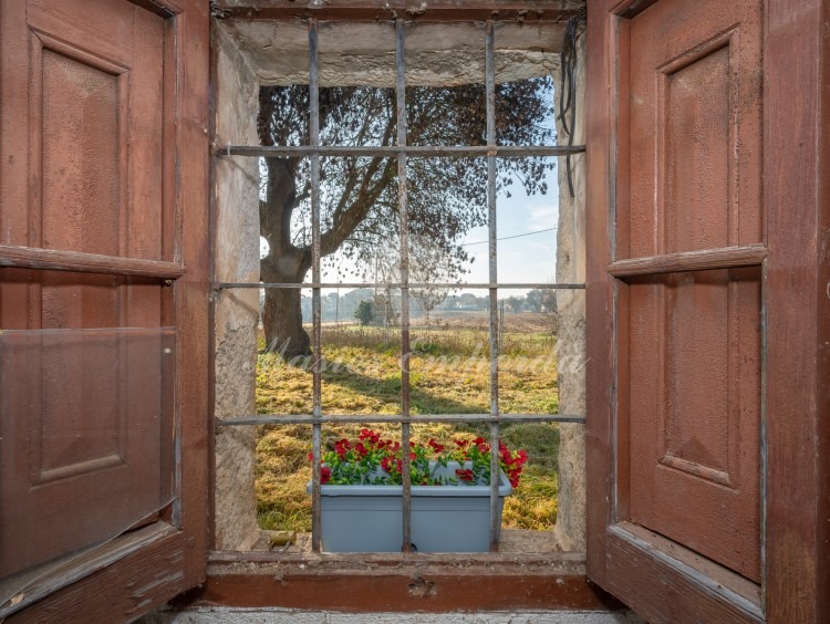 Vistas desde el interior de la masía