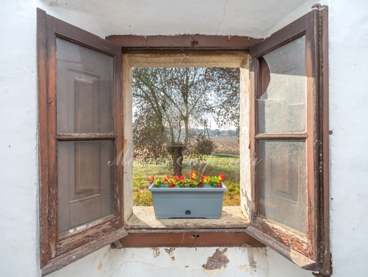Vistas desde el interior de la masía