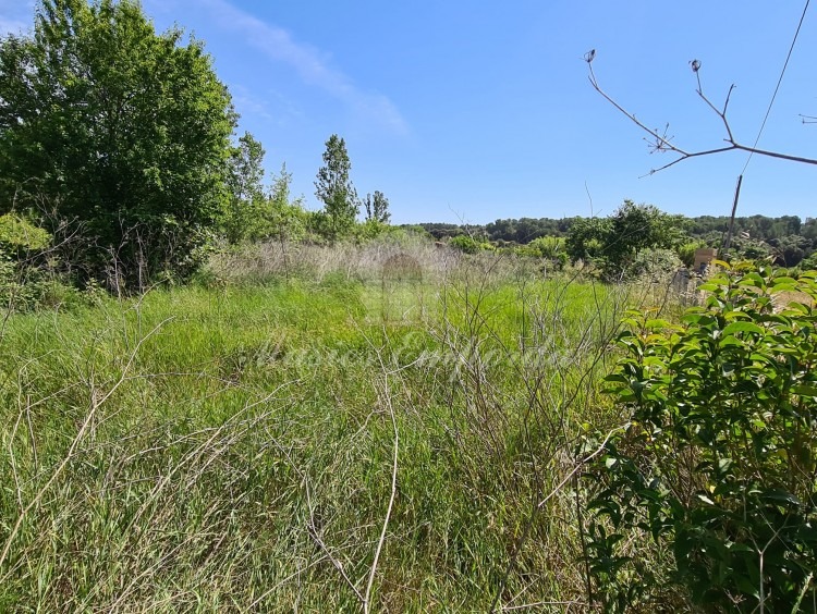 Vistas de la parcela