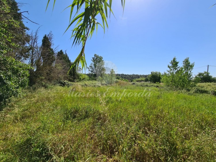 Vistas de la parcela