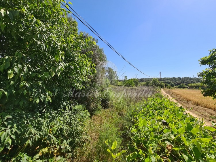Vistas de la parcela