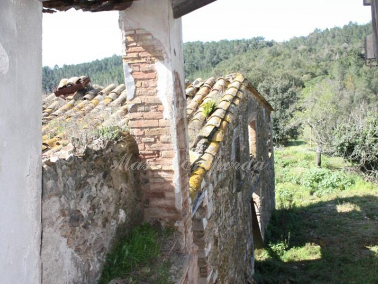 Vista dels annexos des de la primera planta