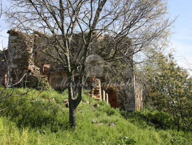 Masia i annexos de la masia