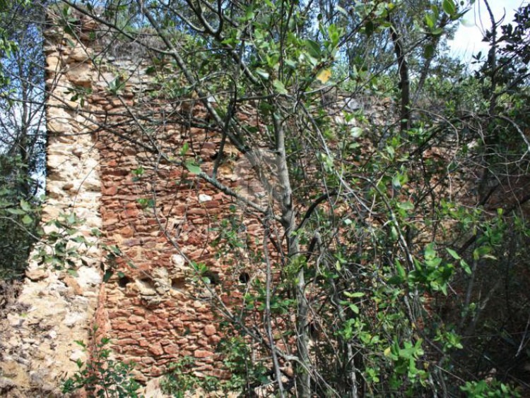 Detall de la segona masia de la propietat